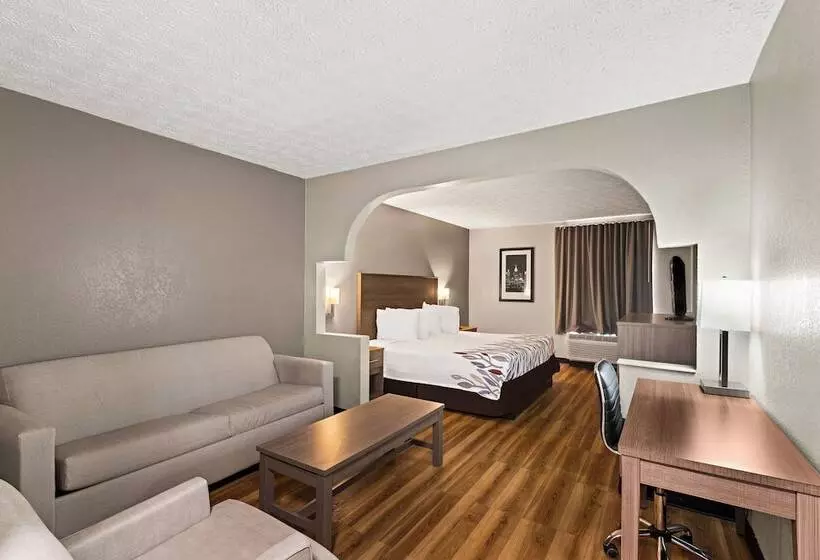 身障者適用スイートルーム, Red Roof Inn & Suites Newnan