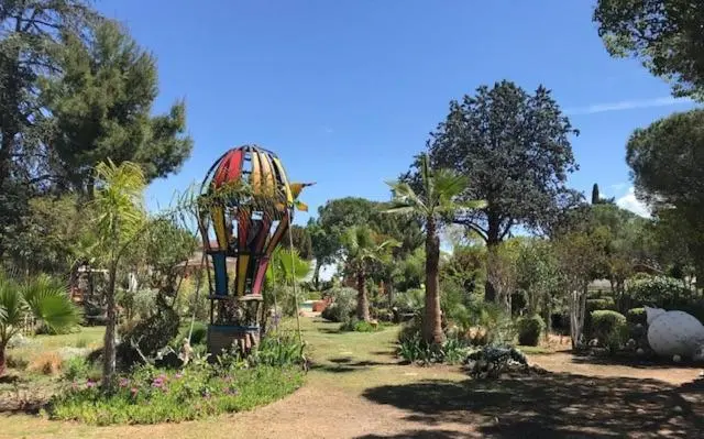 Camera Deluxe, La Cactée Singulière