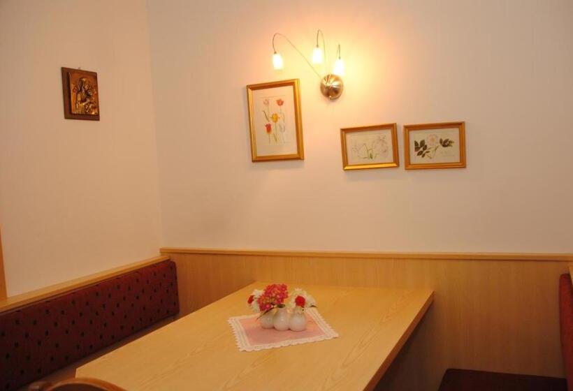 آپارتمان 1 خوابه با بالکن, Gästehaus Rieser