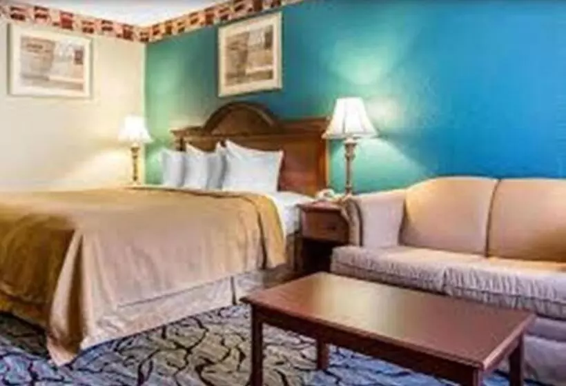 キングサイズベッドのデラックススイート, Baymont By Wyndham Walterboro