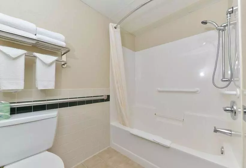 身障者適用スイートルーム, Comfort Inn & Suites Jackson   West Bend