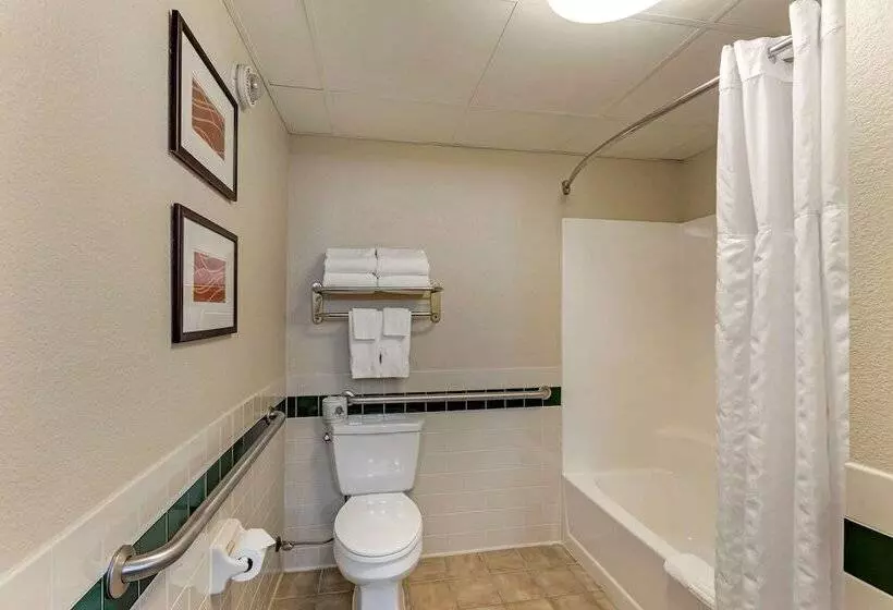 身障者適用スイートルーム, Comfort Inn & Suites Jackson   West Bend