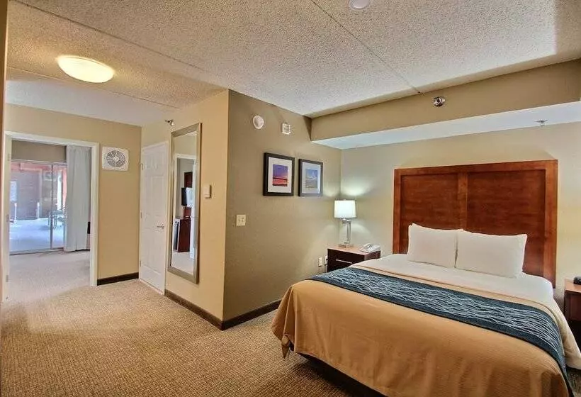身障者適用スイートルーム, Comfort Inn & Suites Jackson   West Bend
