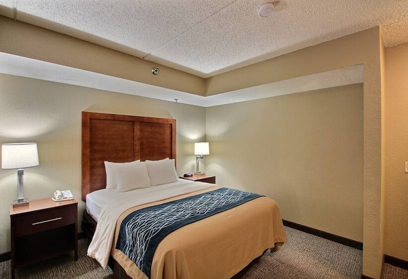 جناح لذوى الاحتياجات الخاصة, Comfort Inn & Suites Jackson   West Bend