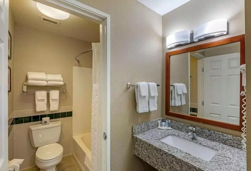 スタンダードルーム, Comfort Inn & Suites Jackson   West Bend