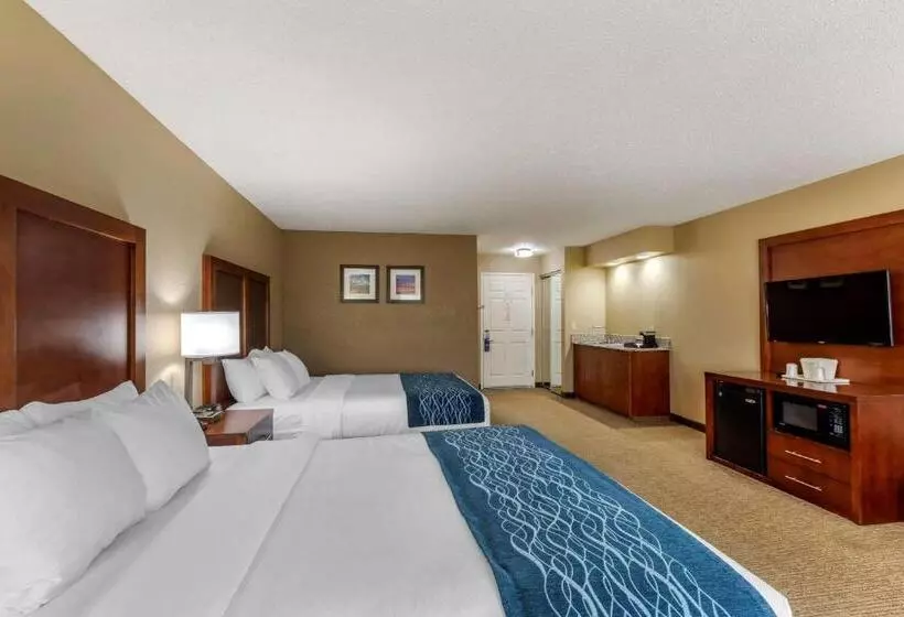 スタンダードルーム, Comfort Inn & Suites Jackson   West Bend