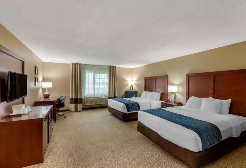 スタンダードルーム, Comfort Inn & Suites Jackson   West Bend