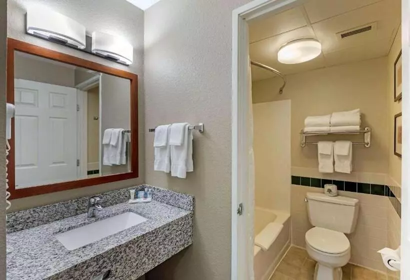 スイート, Comfort Inn & Suites Jackson   West Bend