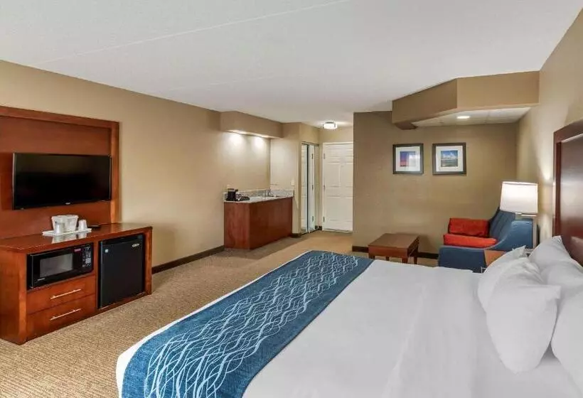 キングサイズベッドのスタンダードルーム, Comfort Inn & Suites Jackson   West Bend