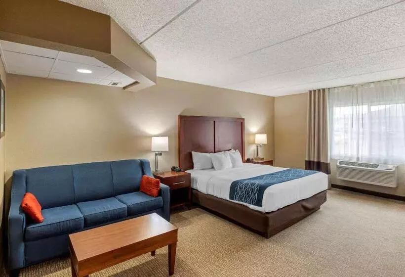 キングサイズベッドのスタンダードルーム, Comfort Inn & Suites Jackson   West Bend