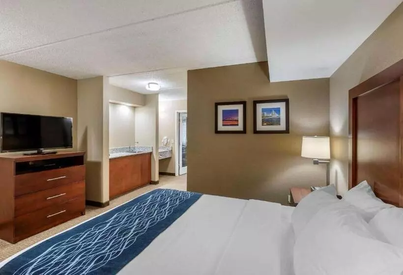 スイート, Comfort Inn & Suites Jackson   West Bend