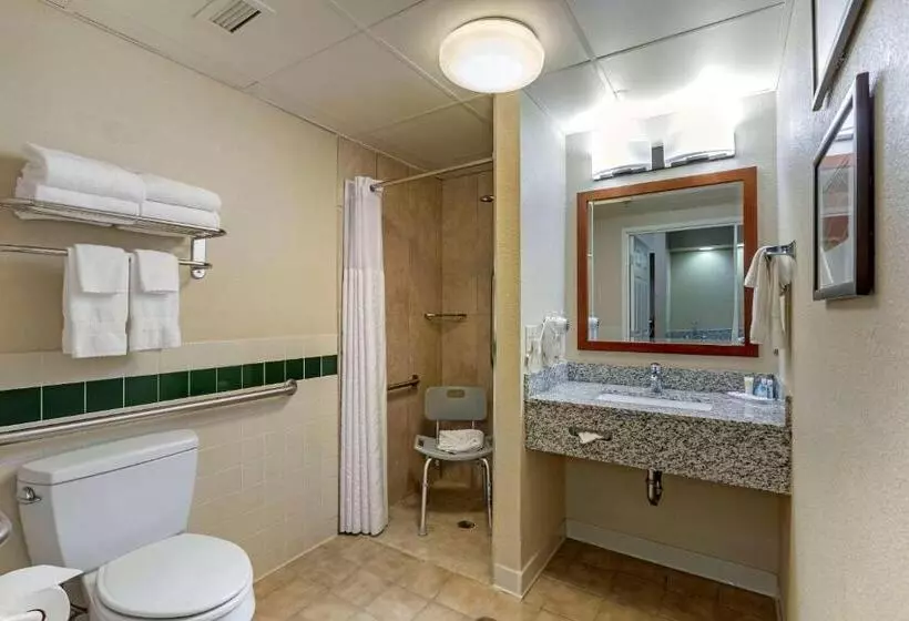 身障者適用スタンダードルーム, Comfort Inn & Suites Jackson   West Bend