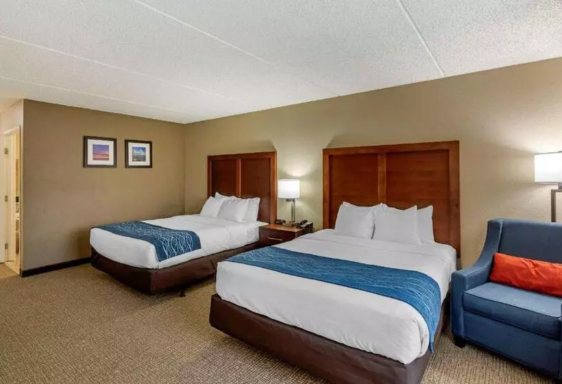 身障者適用スタンダードルーム, Comfort Inn & Suites Jackson   West Bend