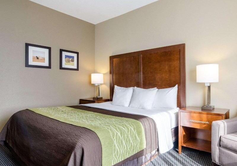 غرفة قياسية سرير كينج, Comfort Inn Garden City