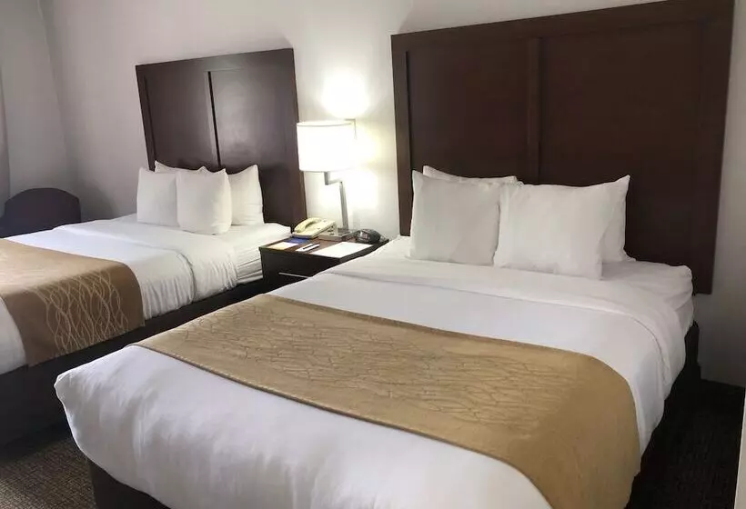اتاق استاندارد, Comfort Inn Grand Island North
