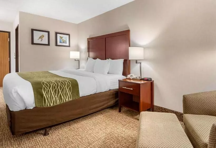 اتاق استاندارد با تخت بزرگ, Comfort Inn Grand Island North