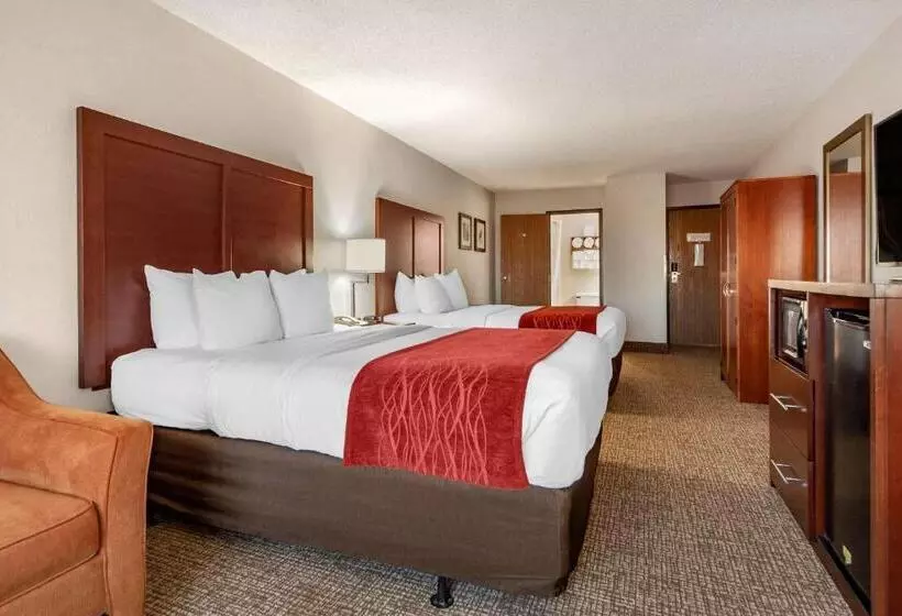 اتاق لوکس, Comfort Inn Grand Island North