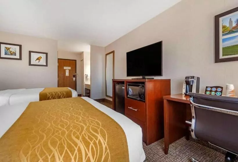 اتاق لوکس, Comfort Inn Grand Island North