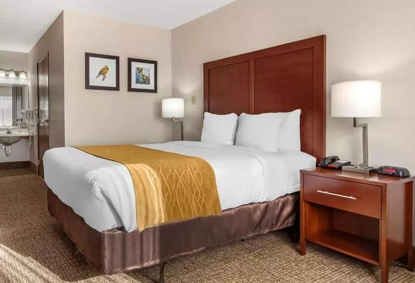 اتاق استاندارد برای معلولان, Comfort Inn Grand Island North