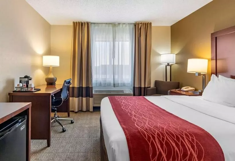 اتاق استاندارد با تخت بزرگ, Comfort Inn