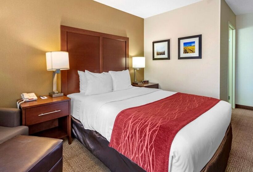 キングサイズベッドのスタンダードルーム, Comfort Inn