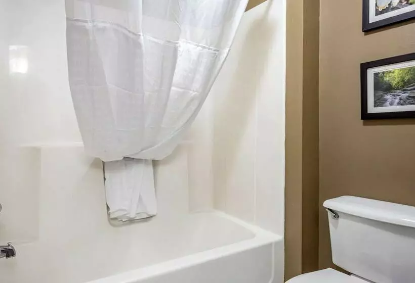 ２ダブルベッドのスタンダードルーム, Comfort Inn Meadowlands