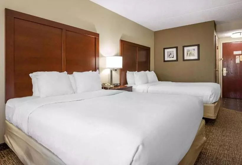 ２ダブルベッドのスタンダードルーム, Comfort Inn Meadowlands