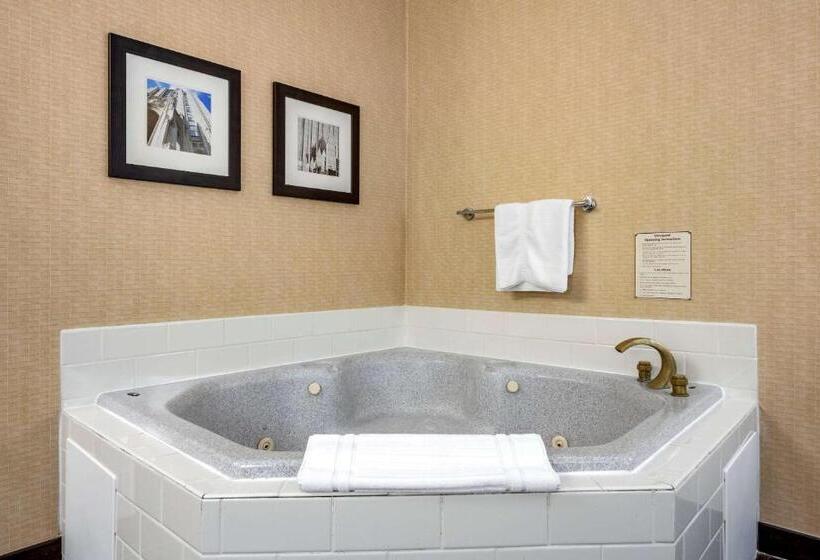 스탠다드 룸 킹사이즈 침대, Comfort Inn Meadowlands