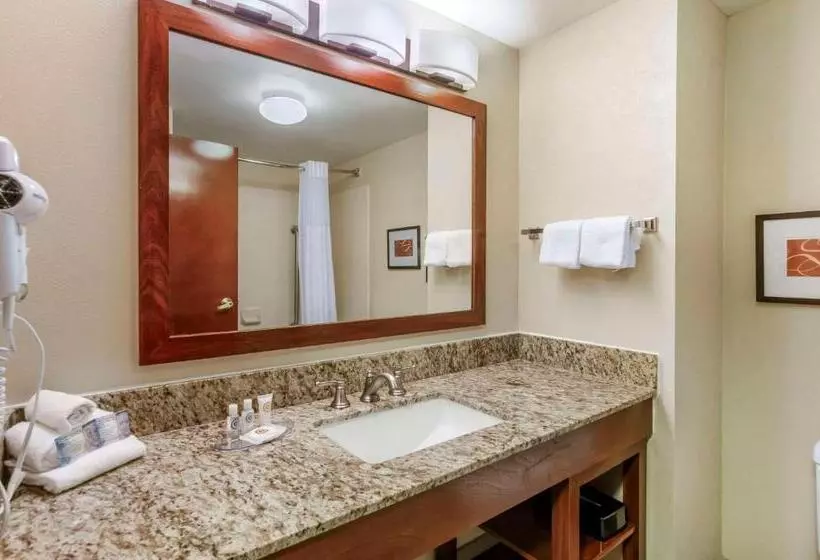 Sviitti King-vuode, Comfort Inn & Suites Christiansburg I 81