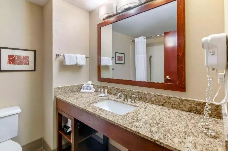 Sviitti King-vuode, Comfort Inn & Suites Christiansburg I 81