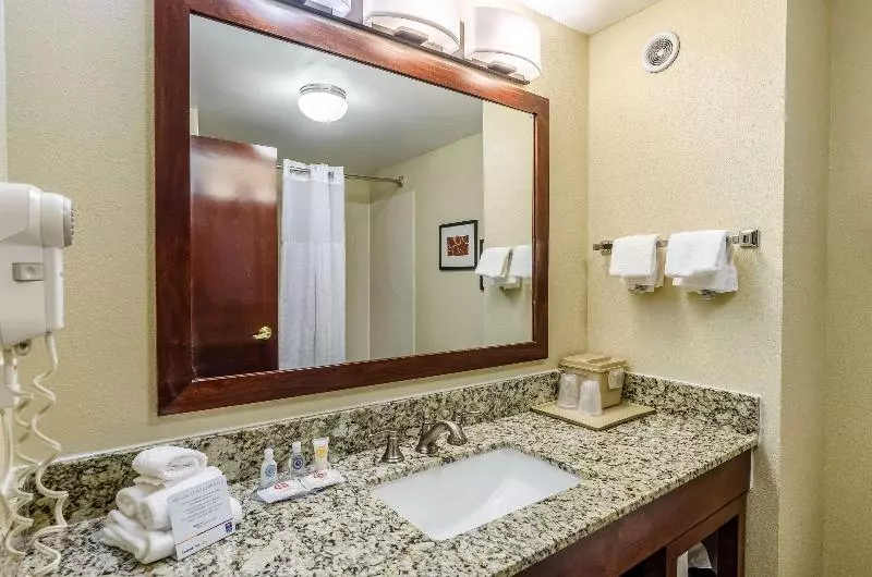 Sviitti King-vuode, Comfort Inn & Suites Christiansburg I 81