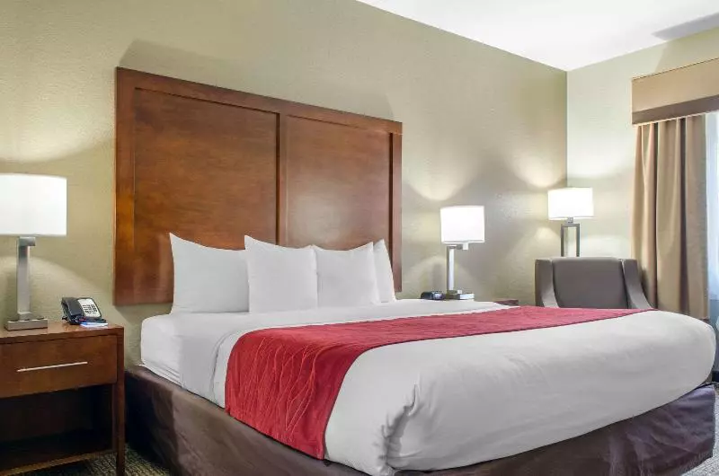 スタンダードルーム, Comfort Inn & Suites Covington   Mandeville