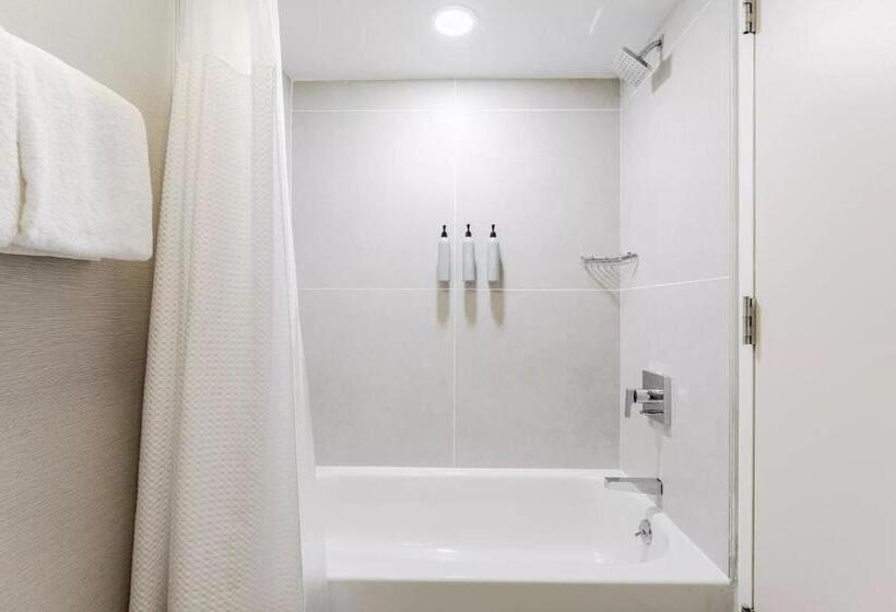 غرفة قياسية, Courtyard Burlington Williston