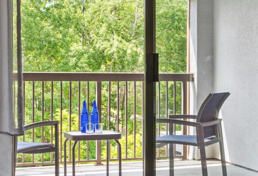 غرفة قياسية, Courtyard Burlington Williston