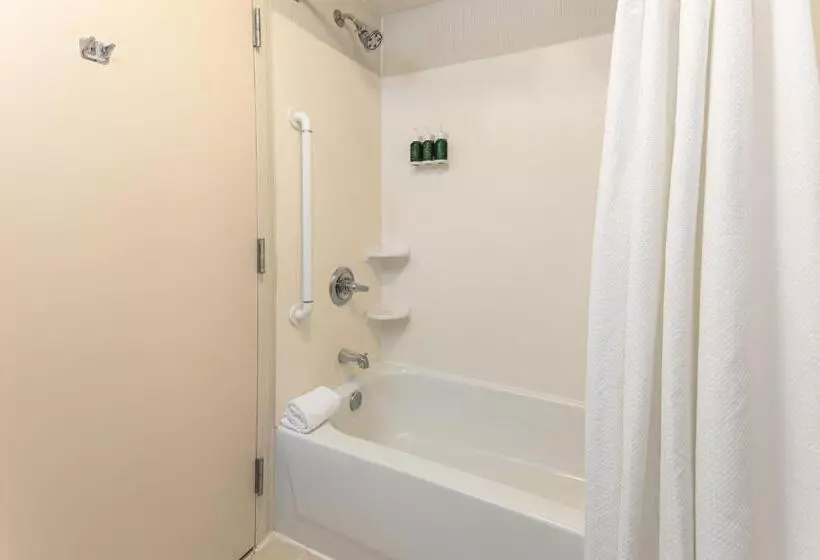 سوئیت با تخت بزرگ, Courtyard By Marriott Charlottesville   University Medical Center