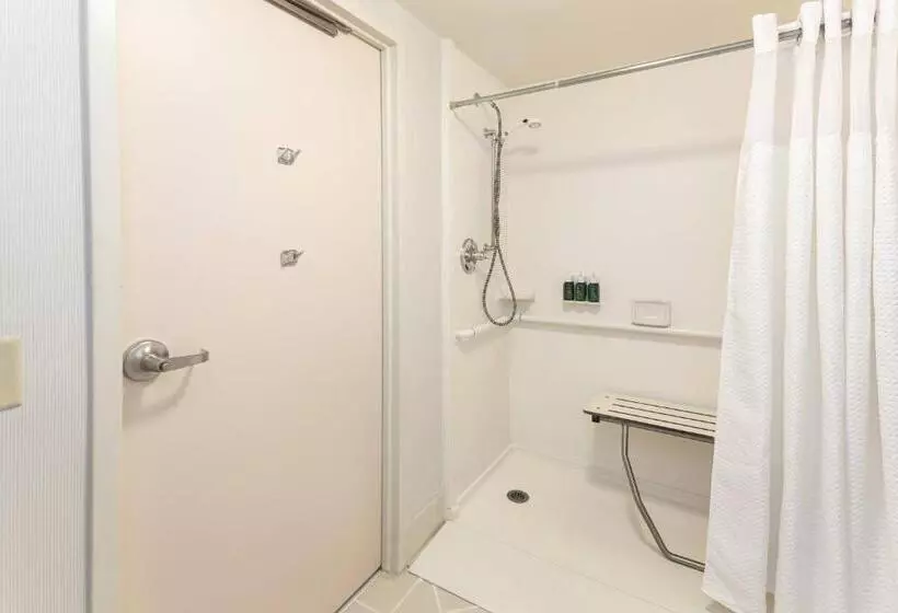سوئیت با تخت بزرگ, Courtyard By Marriott Charlottesville   University Medical Center