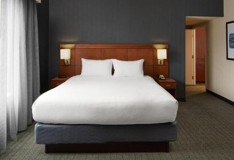 带大床的套房, Courtyard By Marriott Charlottesville   University Medical Center