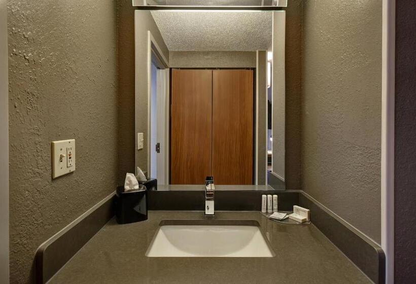 חדר סטנדרט עם מיטת קינג, Courtyard By Marriott Cincinnati Airport