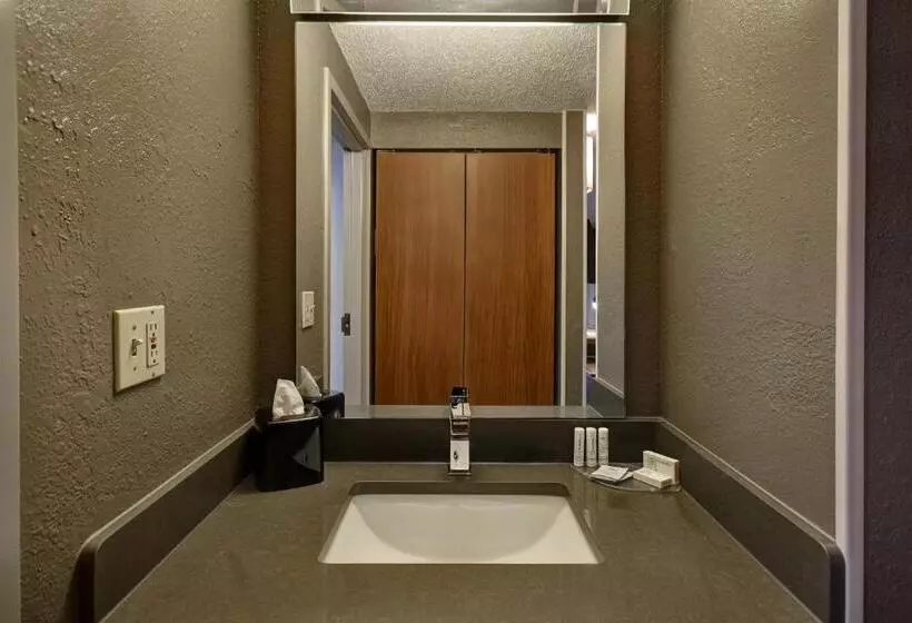 キングサイズベッドのスタンダードルーム, Courtyard By Marriott Cincinnati Airport