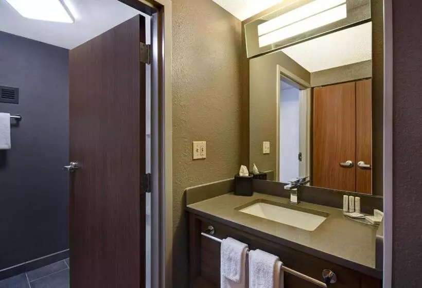 キングサイズベッドのスタンダードルーム, Courtyard By Marriott Cincinnati Airport