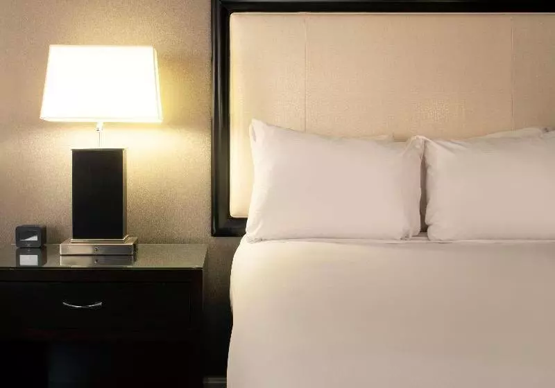 سوئیت با تخت بزرگ, Hilton Alexandria Old Town