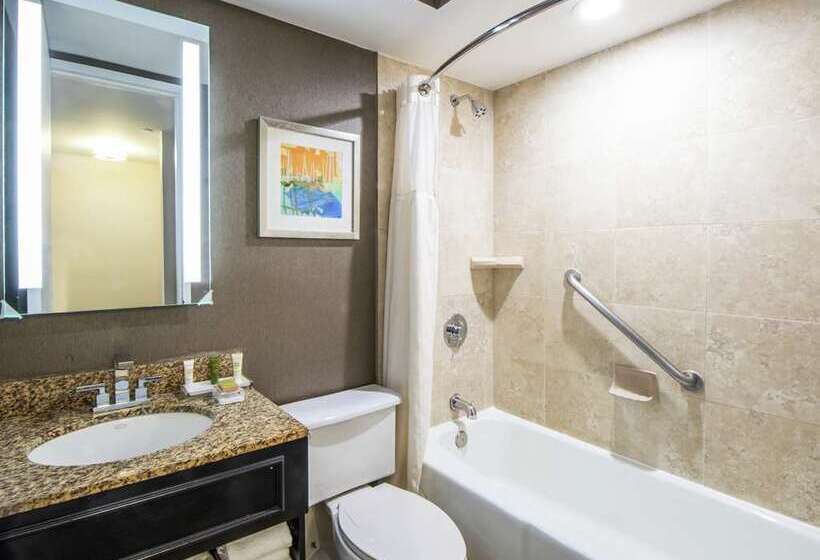 스탠다드 룸 더블 침대 2개, Hilton Alexandria Old Town