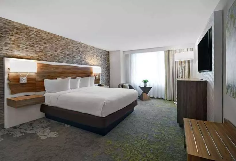 اتاق استاندارد با تخت بزرگ, Hilton Alexandria Old Town