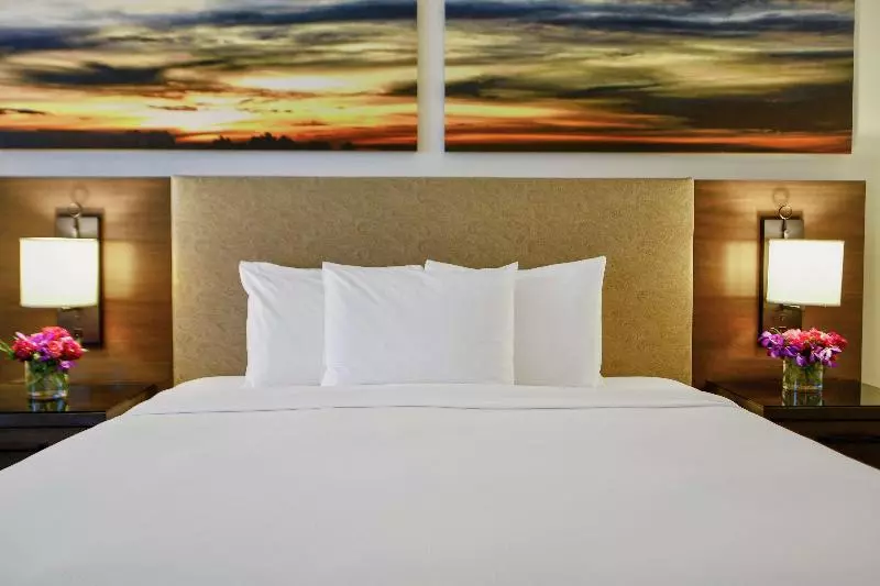 سوئیت جونیور با تخت بزرگ, Hilton Dallas/park Cities