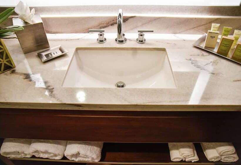 סוויטת ג'וניור מיטת קינג, Hilton Dallas/park Cities