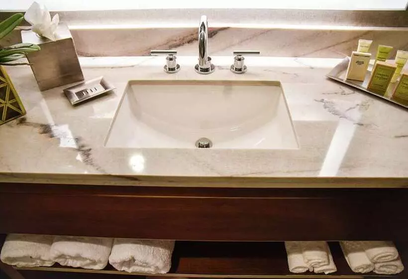 سوئیت جونیور با تخت بزرگ, Hilton Dallas/park Cities