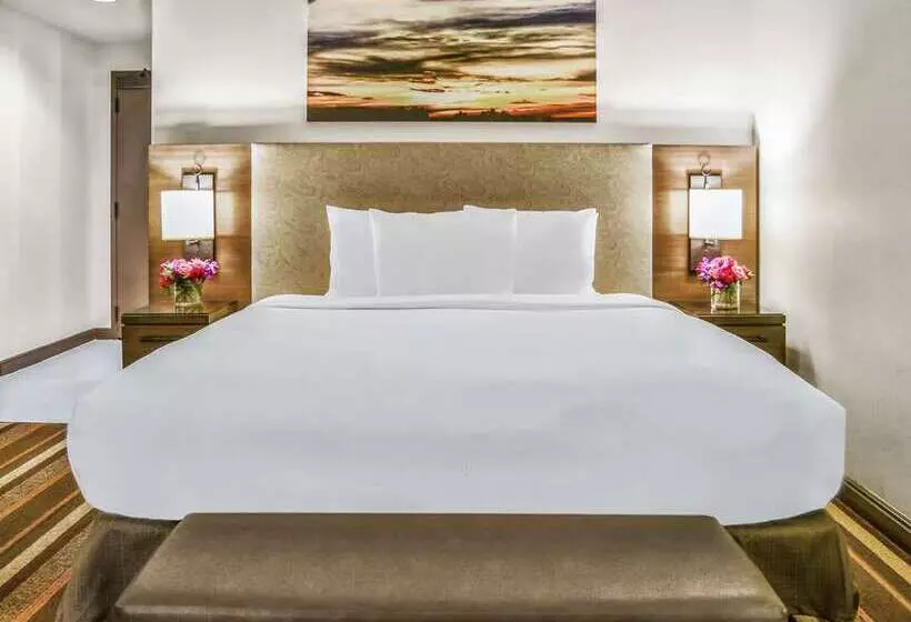 سوئیت جونیور با تخت بزرگ, Hilton Dallas/park Cities