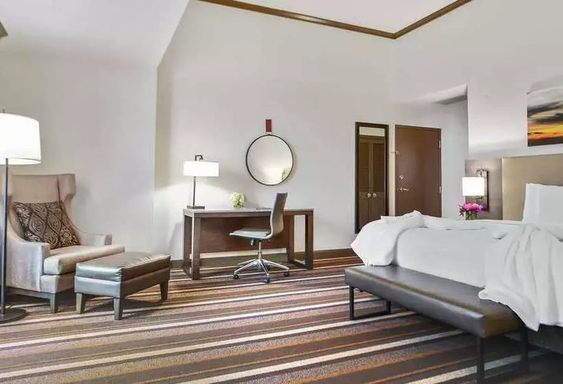 سوئیت جونیور با تخت بزرگ, Hilton Dallas/park Cities