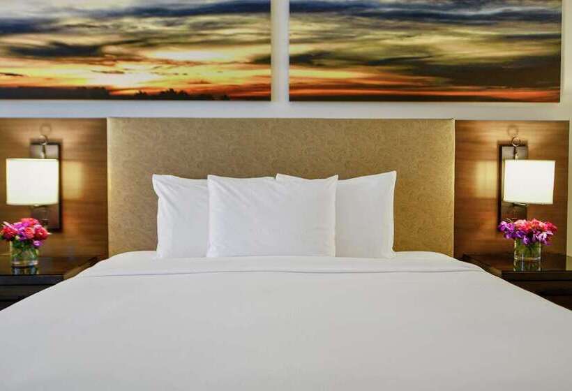 주니어 스위트 킹사이즈 침대, Hilton Dallas/park Cities