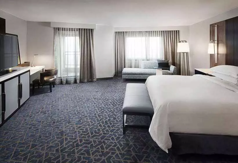 سوئیت جونیور با تخت بزرگ, Hilton Dallas/park Cities
